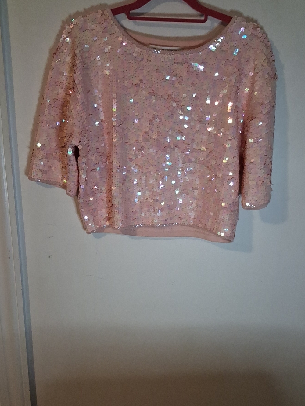 Iridescent Pink Sequin Crop Top
